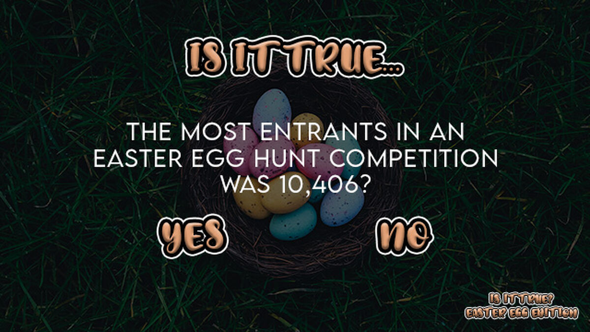 Is It True? Easter Egg Edition image number null